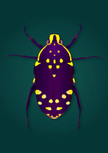 Kunstunterricht - Schülerarbeit im Digitalen Gestalten