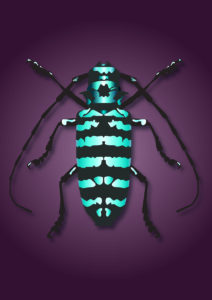 Kunstunterricht - Schülerarbeit im Digitalen Gestalten