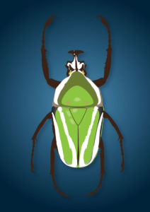 Kunstunterricht - Schülerarbeit im Digitalen Gestalten