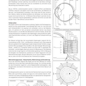 Theorieblatt Wahrnehmung