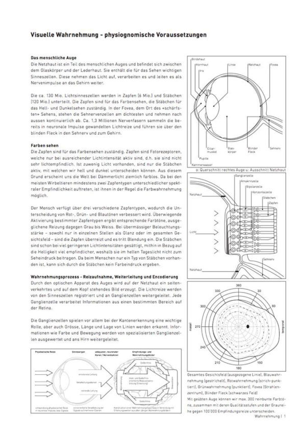 Theorieblatt Wahrnehmung