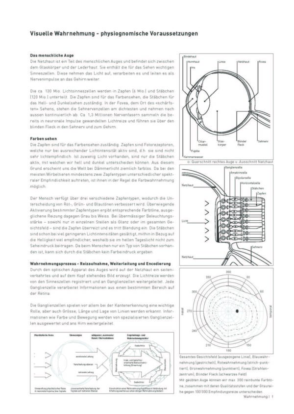 Theorieblatt Wahrnehmung